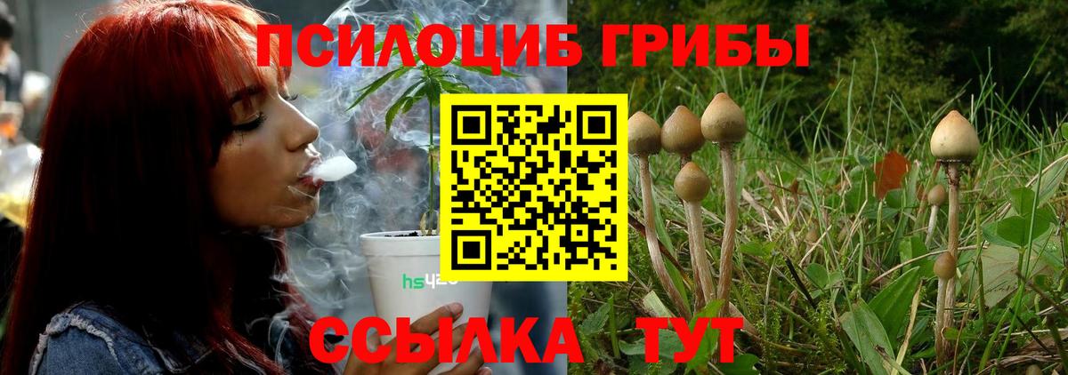 Новый Уренгой  Галлюциногенные грибы мицелий  Вход с VPN 